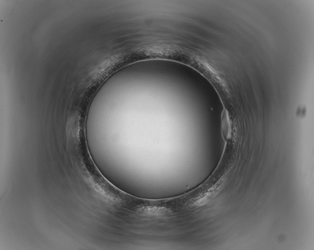 X0000090450637200707201314