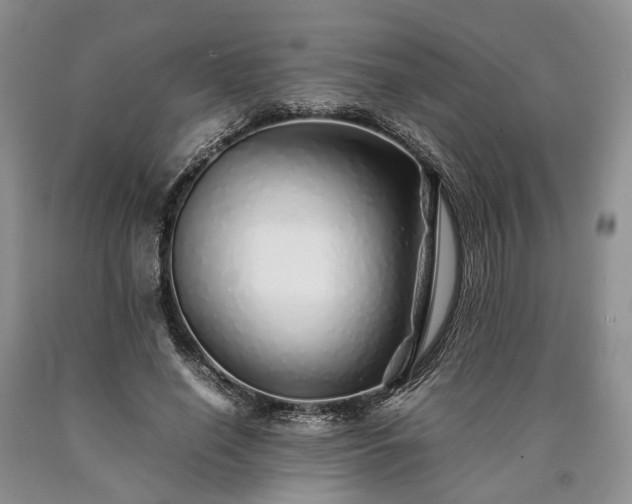 X0000090450638200707201314