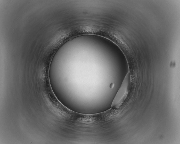 X0000090450639200707201314