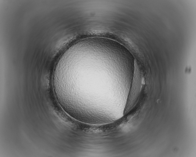 X0000090450640200707201314