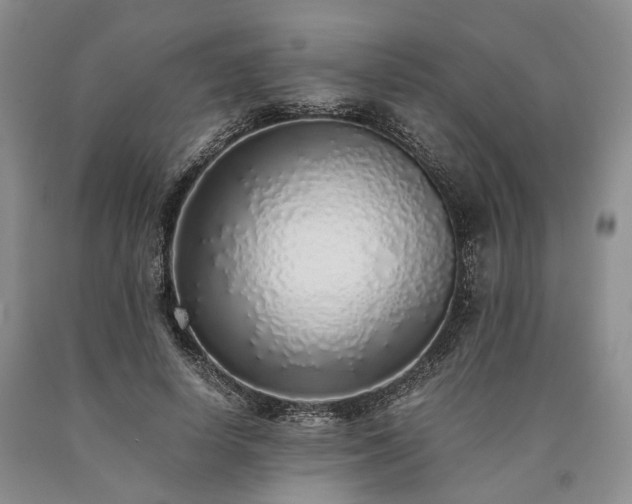 X0000090450642200707201314