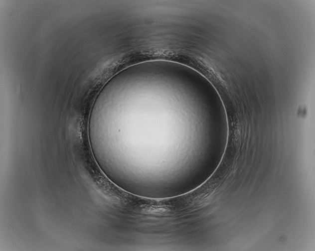 X0000090450643200707201314