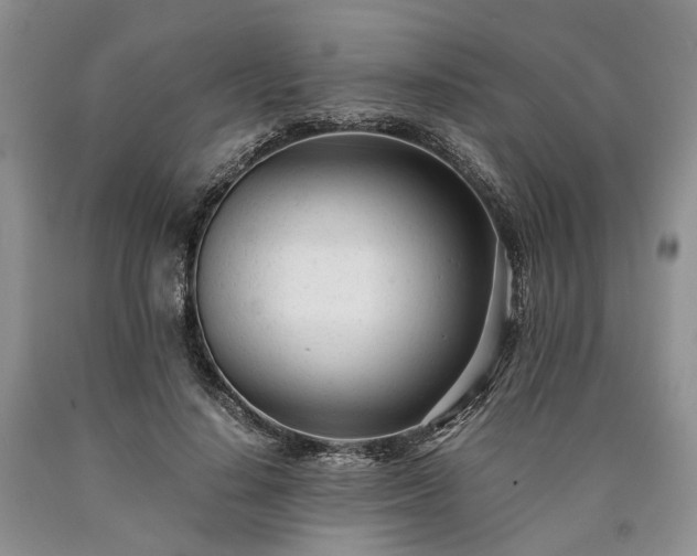 X0000090450644200707201314