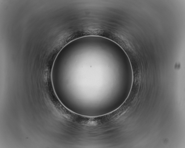 X0000090450647200707201314