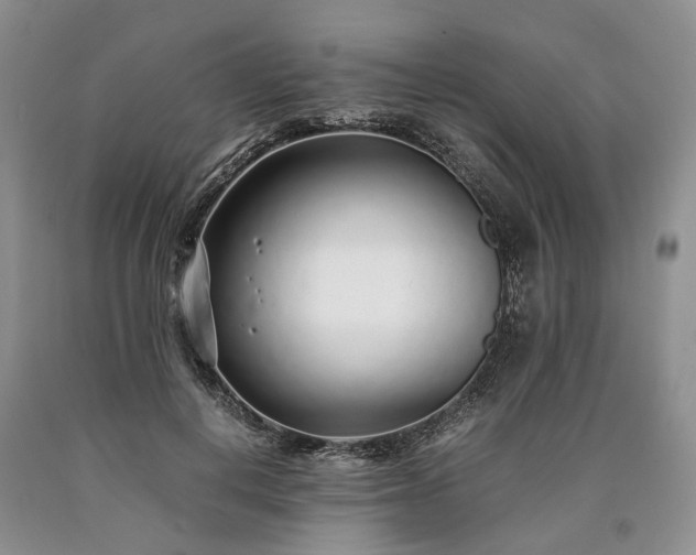 X0000090450648200707201314