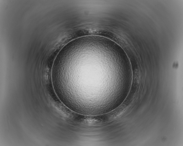 X0000090450650200707201315