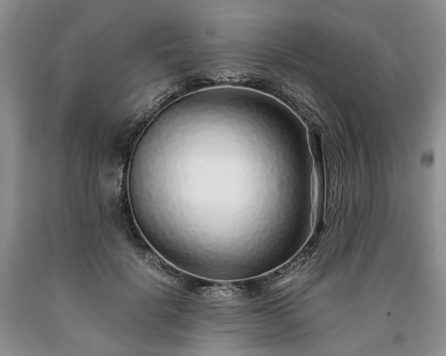 X0000090450652200707201315