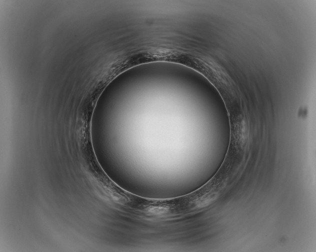 X0000090450653200707201315