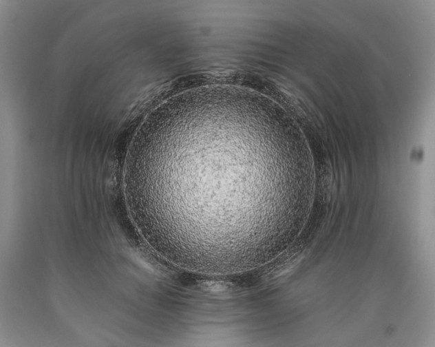 X0000090450654200707201315