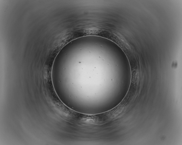 X0000090450655200707201315