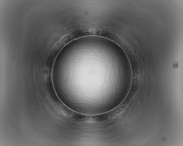 X0000090450656200707201315