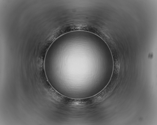 X0000090450657200707201315