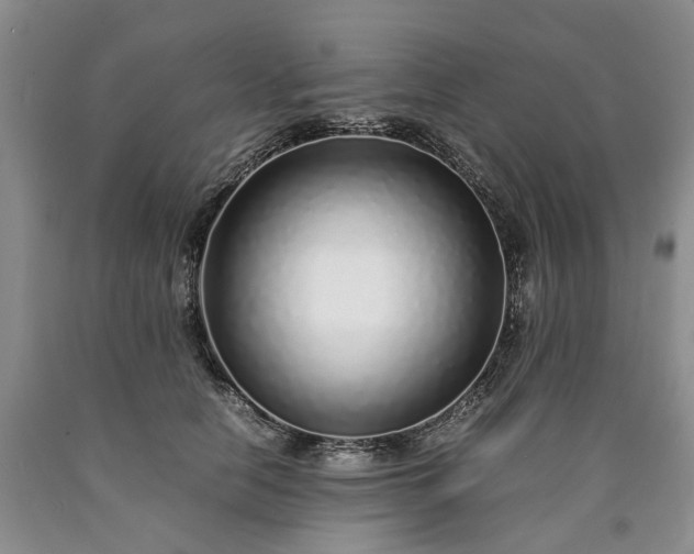 X0000090450658200707201315