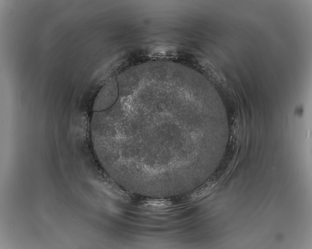X0000090450659200707201315