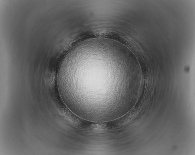 X0000090450660200707201315