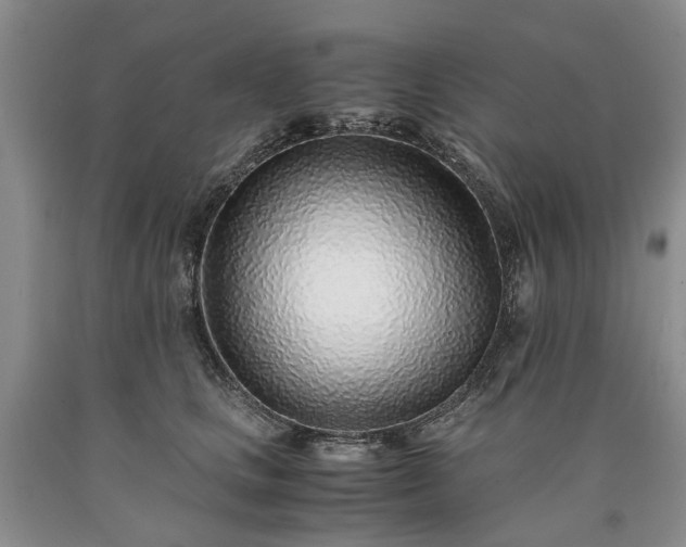 X0000090450661200707201315