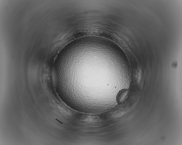 X0000090450663200707201315