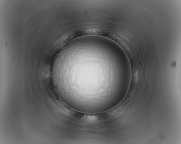 X0000090450665200707201315