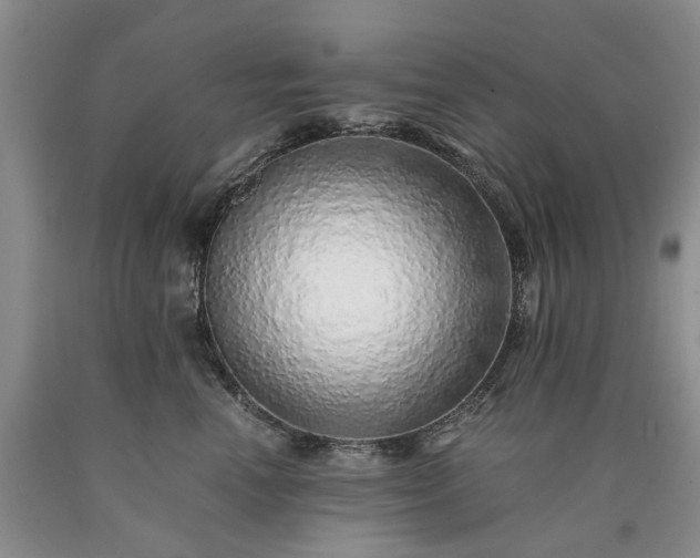 X0000090450666200707201315