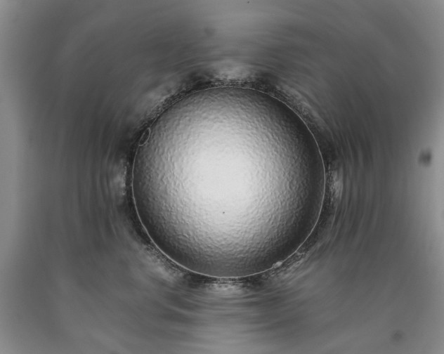 X0000090450668200707201315
