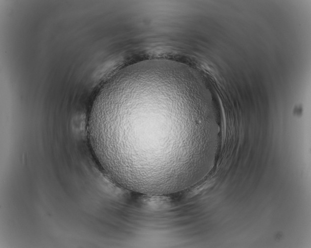 X0000090450670200707201315