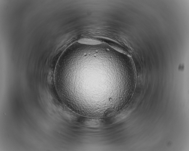 X0000090450671200707201315