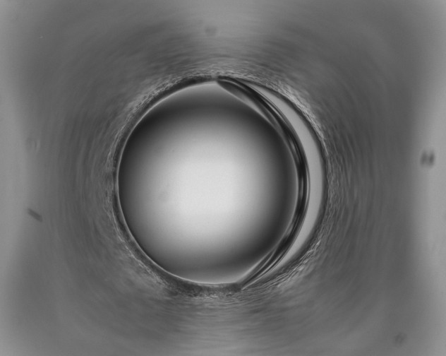X0000090450673200707201314