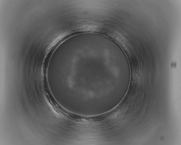 X0000090450674200707201314
