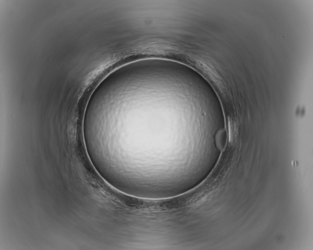 X0000090450675200707201314