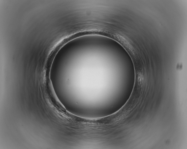 X0000090450676200707201314