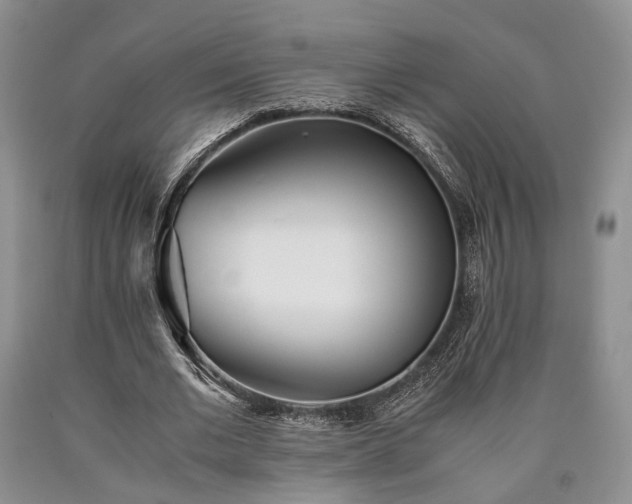 X0000090450677200707201314