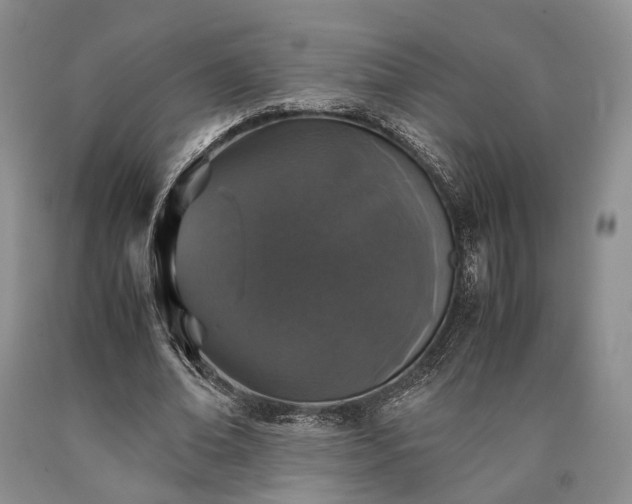 X0000090450678200707201314