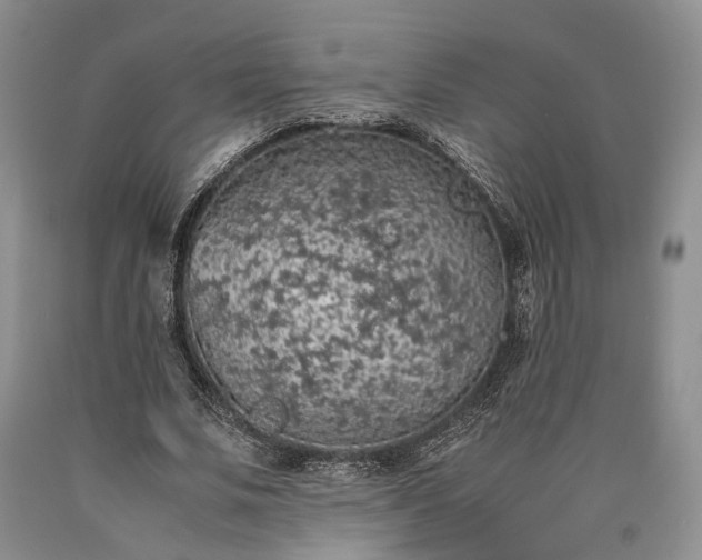 X0000090450679200707201314