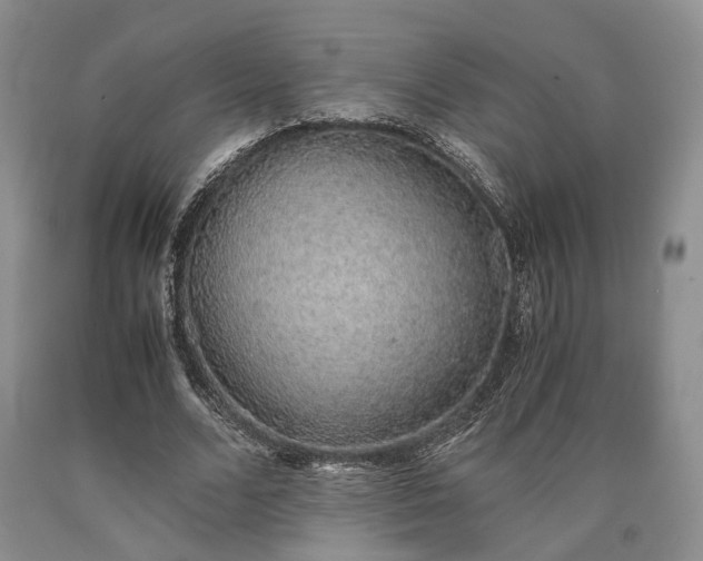 X0000090450680200707201314