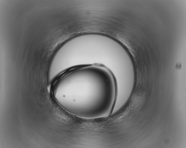 X0000090450681200707201314