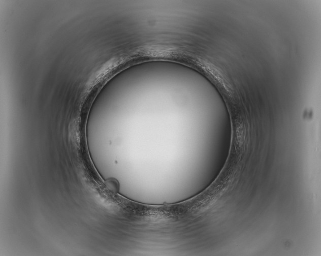 X0000090450682200707201314