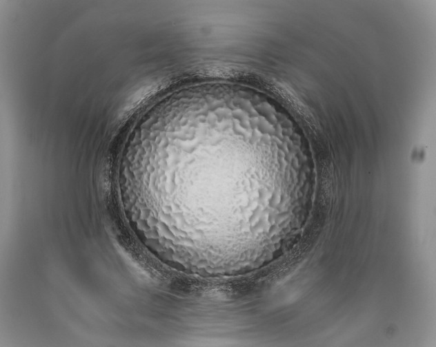 X0000090450683200707201314