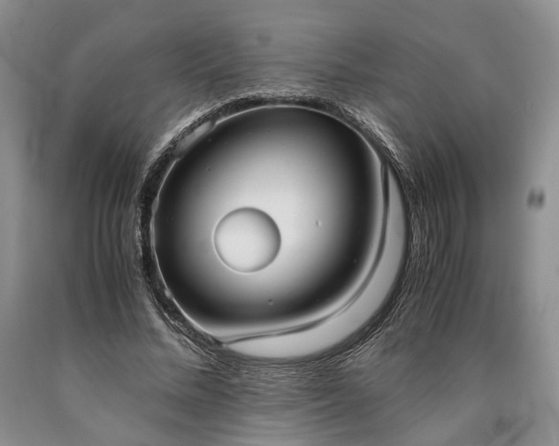 X0000090450684200707201314
