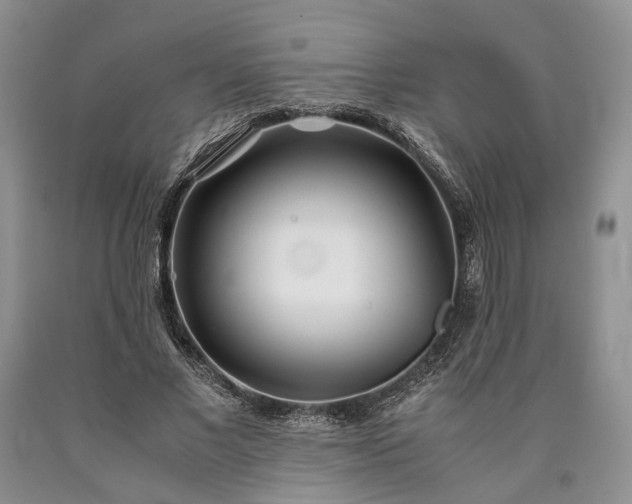 X0000090450685200707201314