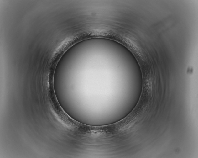 X0000090450686200707201314