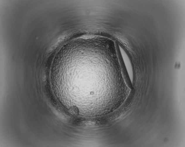 X0000090450687200707201314