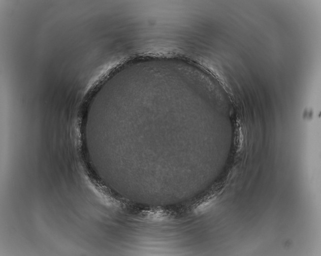 X0000090450688200707201314