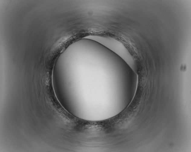 X0000090450689200707201314