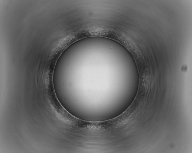 X0000090450690200707201314