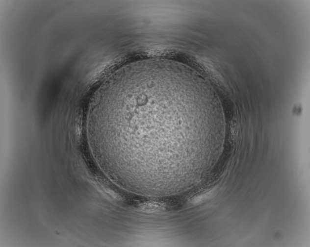 X0000090450691200707201314