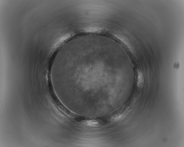 X0000090450692200707201314