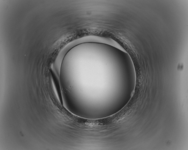 X0000090450693200707201314