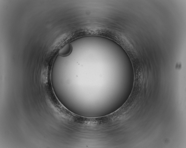X0000090450694200707201314