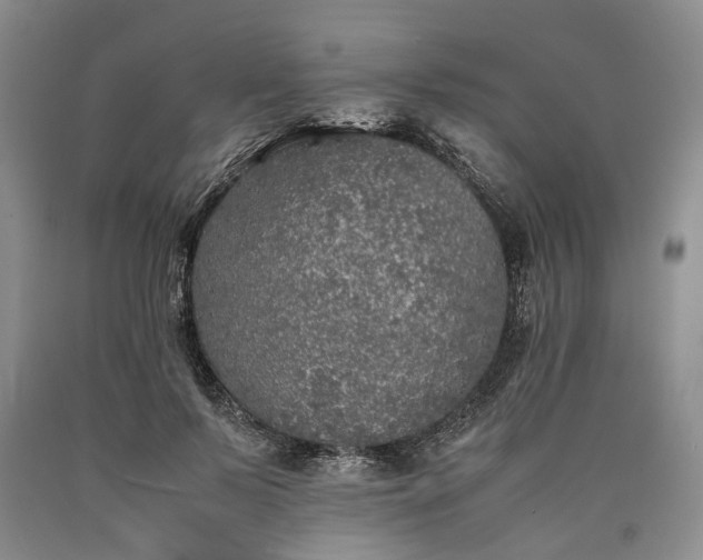 X0000090450695200707201314