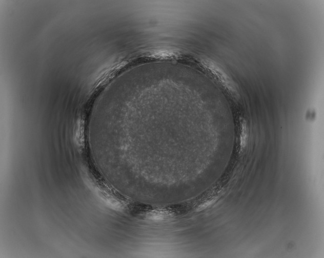 X0000090450696200707201314